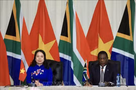 Vicepresidenta de Vietnam se reúne con homólogo sudafricano