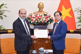 Vietnam dispuesto ayudar a Turquía para superar consecuencias del terremoto