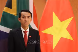 Vietnam y Sudáfrica deben reforzar más lazos económicos, según diplomático