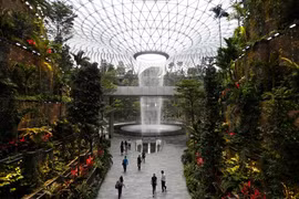 Transporte aéreo de pasajeros de Singapur se recupera con fuerza