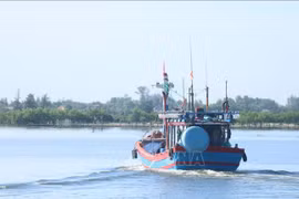 Quang Tri apoya a pescadores para el desarrollo sostenible del sector