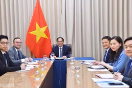 Vietnam y Mozambique robustecen cooperación multifacética 