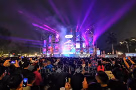 Hanoi organiza diversos programas artísticos en bienvenida al nuevo año 2024
