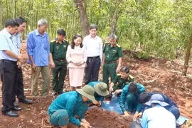 Detectan 20 restos de mártires vietnamitas en provincia vietnamita 