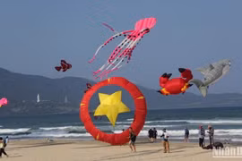 Más celebraciones veraniegas en ciudad vietnamita de Da Nang