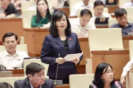 Vietnam se esfuerza por mejorar calidad de tratamiento médico