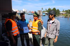Provincias vietnamitas se enfrascan en combatir la pesca ilegal