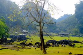 Hang tau: pueblo primitivo en la provincia vietnamita de Son La