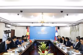 Vietnam y Laos fortalecen cooperación en trabajo relacionado con expatriados