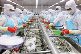 Producción acuática de Vietnam alcanza 1,18 millones de toneladas