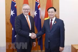 Experto aprecia nexos de asociación estratégica entre Vietnam y Australia