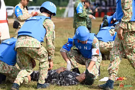 Vietnam y Japón cooperan en evaluación de capacidad para fuerzas participantes en operaciones de ONU
