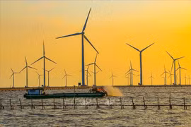 Vietnam por estimular producción de energía renovable