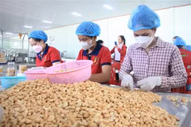 Vietnam e Irán por fortalecer cooperación bilateral 