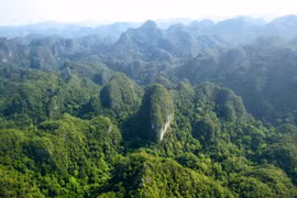 Tailandia aplica modelos de Suecia para ampliar la superficie forestal