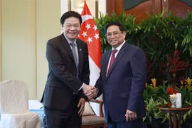 Vietnam, socio importante de Singapur en la región