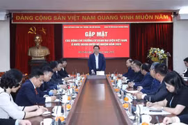 Elogian el papel importante de agencias representativas vietnamitas en el extranjero