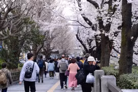 Vietnam y Japón buscan solventar sobrecarga turística