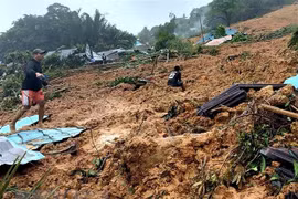 Aumenta número de muertos por deslizamientos de tierra en Indonesia 