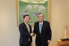 Vietnam y Japón impulsan cooperación en energía y reducción de emisiones 