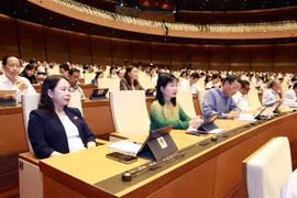 Parlamento de Vietnam aprueba lista de 44 personas sometidas a votación de confianza