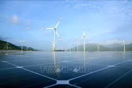 Vietnam aplicará Conjunto de Indicadores Estadísticos de Crecimiento Verde 