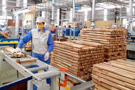 Exportaciones de madera de Vietnam podrían alcanzar 14,5 mil millones de USD en 2023