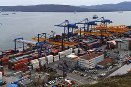 Promueven cooperación comercial Vietnam-Rusia por puerto Vladivostok