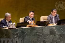 Vietnam participa activamente en el trabajo común de las Naciones Unidas