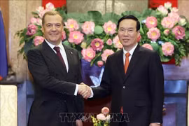 Presidente vietnamita recibe a dirigente partidista ruso
