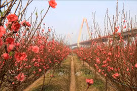 Efectúan Programa “Primavera de la Patria” en África Oriental y Bangladesh
