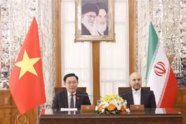 Anuncian resultados de conversaciones entre dirigentes de Vietnam e Irán a la prensa