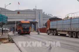 Alerta en Vietnam por información falsa sobre exportación de productos agrícolas a China