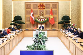Establecimiento de asociación estratégica verde Vietnam-Dinamarca impulsa lazos bilaterales
