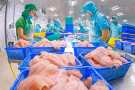 Exportaciones acuícolas por alcanzar 9,5 mil millones de dólares en 2024