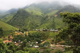 Provincias vietnamitas por aprovechar acuerdo de venta de carbono