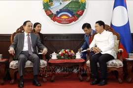 Vietnam y Laos promueven cooperación partidista