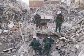 Equipo de rescate militar vietnamita regresa a casa desde Turquía