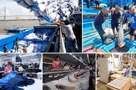 EVFTA ayuda a acelerar la recuperación de exportaciones vietnamitas a UE, según expertos