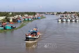 Vietnam se esfuerza por levantar advertencia de "tarjeta amarilla”