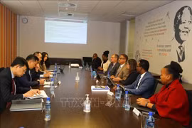 Vietnam y Sudáfrica intercambian experiencias de auditoría 