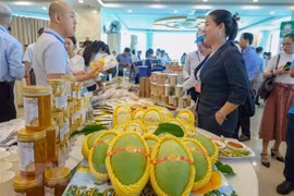 Perspectivas de intercambio comercial entre Vietnam y ciudad china de Chongqing