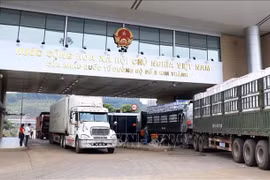 Instan a tomar medidas para promover exportación de productos agrícolas