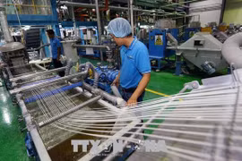 Provincia vietnamita de Dong Nai recibe inversiones extranjeras de nueva generación
