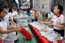 CPTPP favorece exportaciones de Vietnam a Canadá