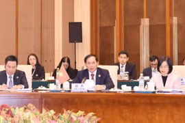 Vietnam ofrece propuestas para cooperación Mekong-Lancang