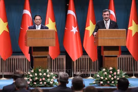 Vietnam es el principal socio de Turquía y EAU en ASEAN, afirma vicecanciller