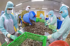 Productos agroforestales y acuáticos de Vietnam registran superávit comercial