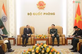 Impulsan relaciones entre Vietnam y la India en defensa