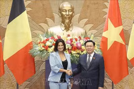 Presidenta del Senado belga concluye con éxito visita a Vietnam